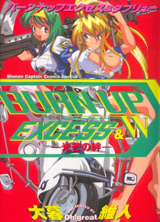 BURN-UP EXCESS & W