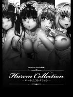 [Maniac Street] Harem Collection (無修正版)