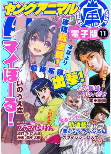 ヤングアニマル嵐 2017年11月号 [Young Animal Arashi 2017-11]